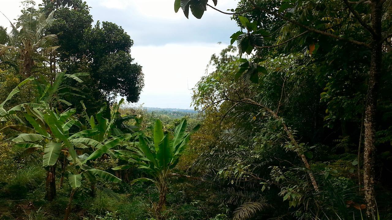 Pondok Manis Singaraja  Bagian luar foto